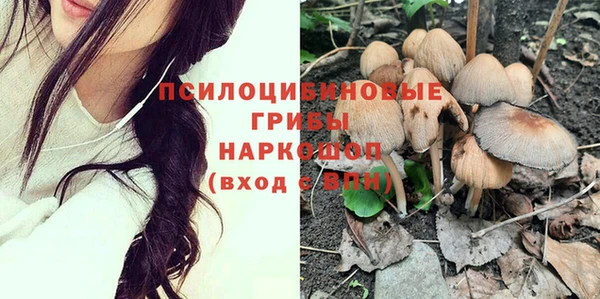 прущие грибы Балабаново
