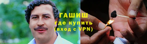 прущие грибы Балабаново