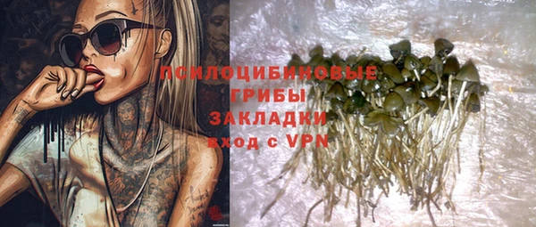сатива Балахна