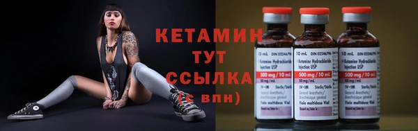прущие грибы Балабаново
