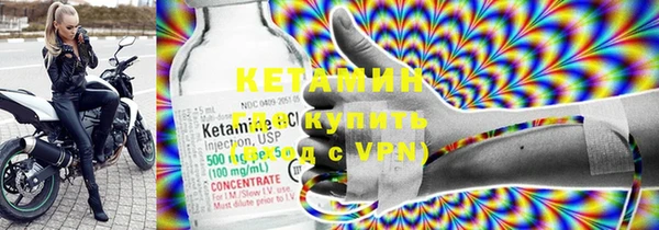 сатива Балахна