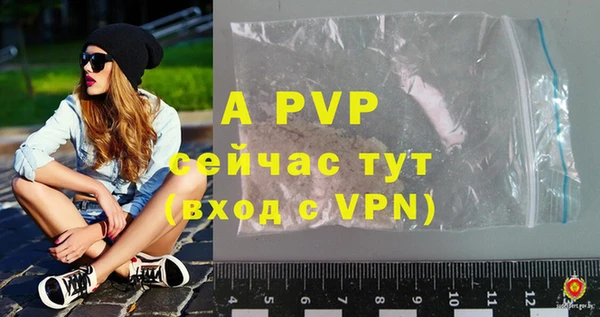 сатива Балахна