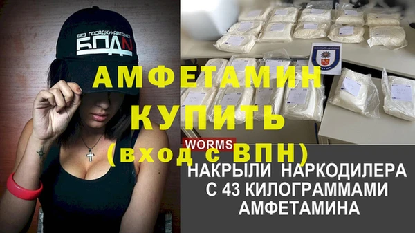 прущие грибы Балабаново