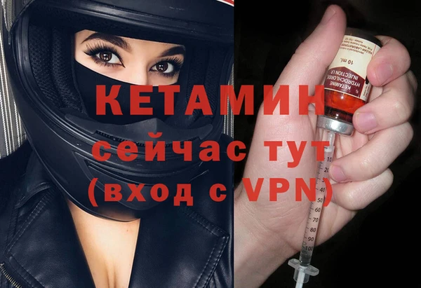 сатива Балахна