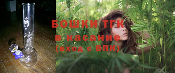 прущие грибы Балабаново