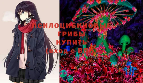 прущие грибы Балабаново