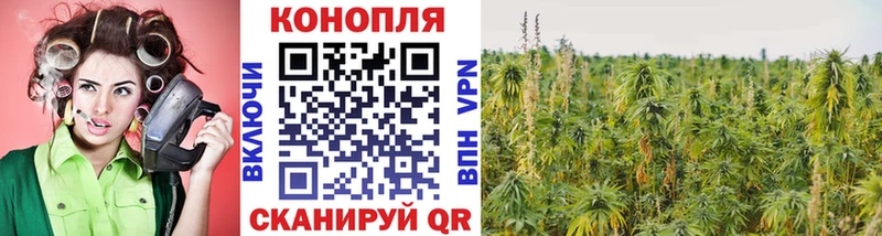 Канабис индика Вязники